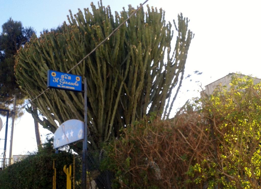 B&B Il Girasole Noto Kültér fotó