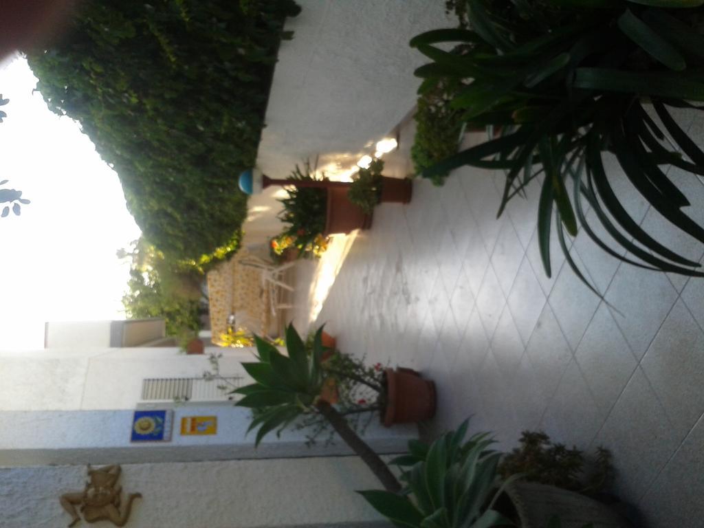 B&B Il Girasole Noto Kültér fotó