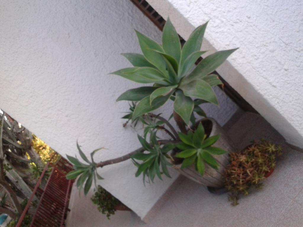 B&B Il Girasole Noto Kültér fotó