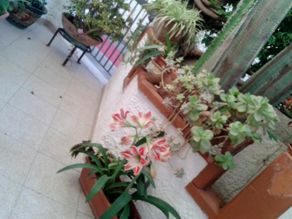 B&B Il Girasole Noto Kültér fotó